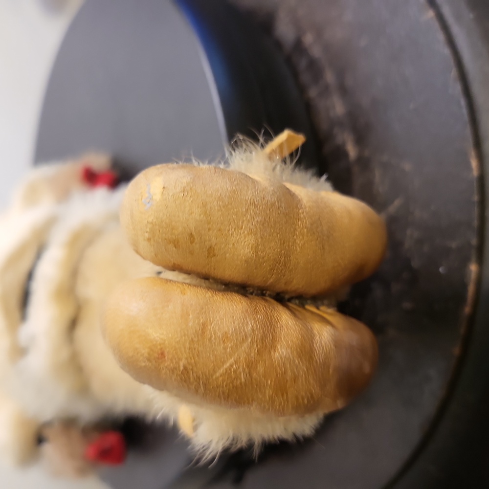 Antique Female ALASKAN YUPIK Doll INUIT Hand Stitched - Picture 8 of 14